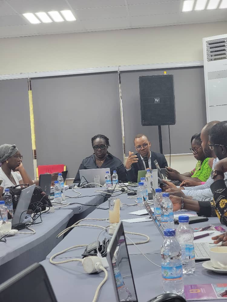 Atelier de Collecte de Données des ONG - Photo 3