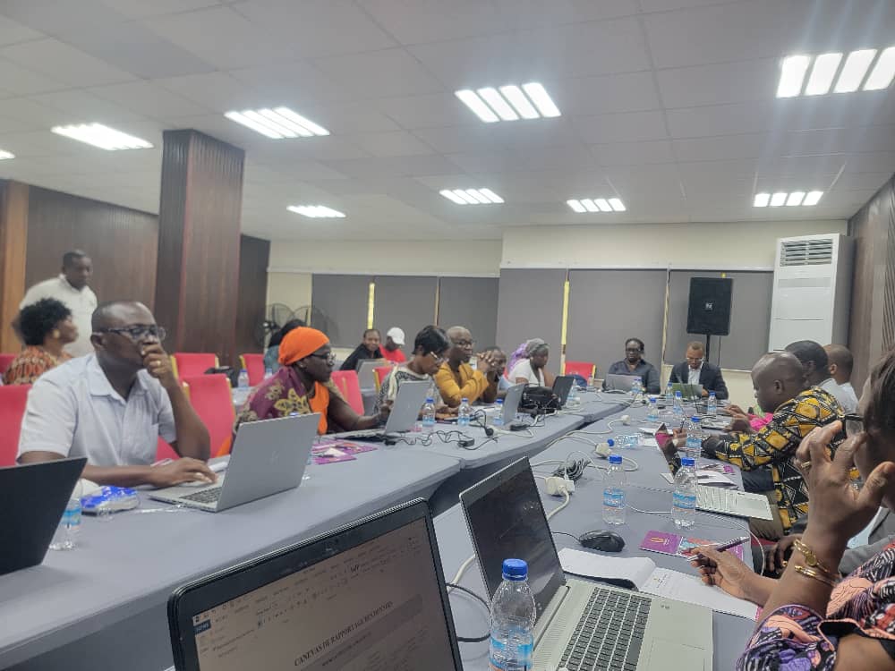 Atelier de Collecte de Données des ONG - Photo 4