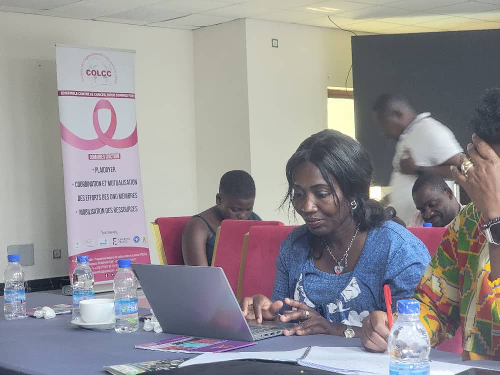 Atelier de Collecte de Données des ONG - Photo 5